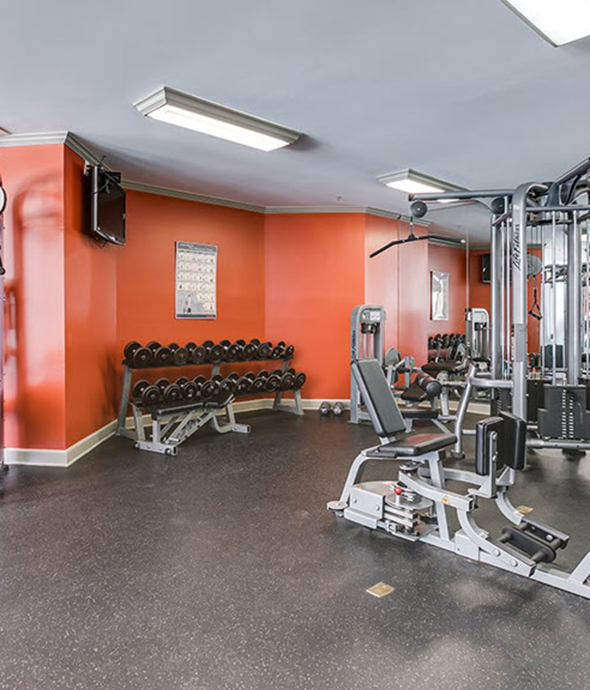 Fitness center with mirror wall, wall mounted TV, rack of dumbbells, and weight machines.